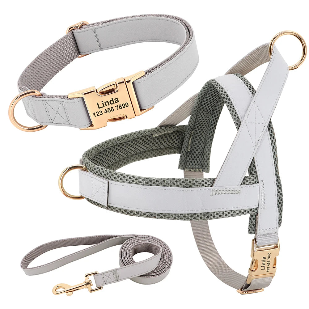 Flausi edles personalisierbares Geschirr – Leder-Mesh-Set: Halsband, Geschirr & Leine