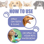Flausi AtemFrisch™ Mundpflege-Spray für Hunde & Katzen