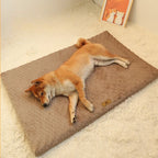 Flausi GelenkTraum™ orthopädische Hundematte mit Memory-Foam
