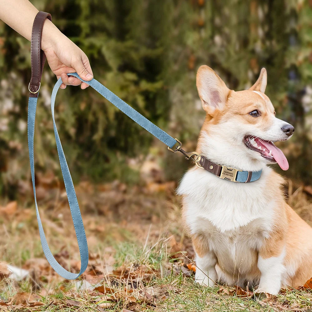 Flausi Edles personalisiertes Halsband- & Leinen-Set für Hunde