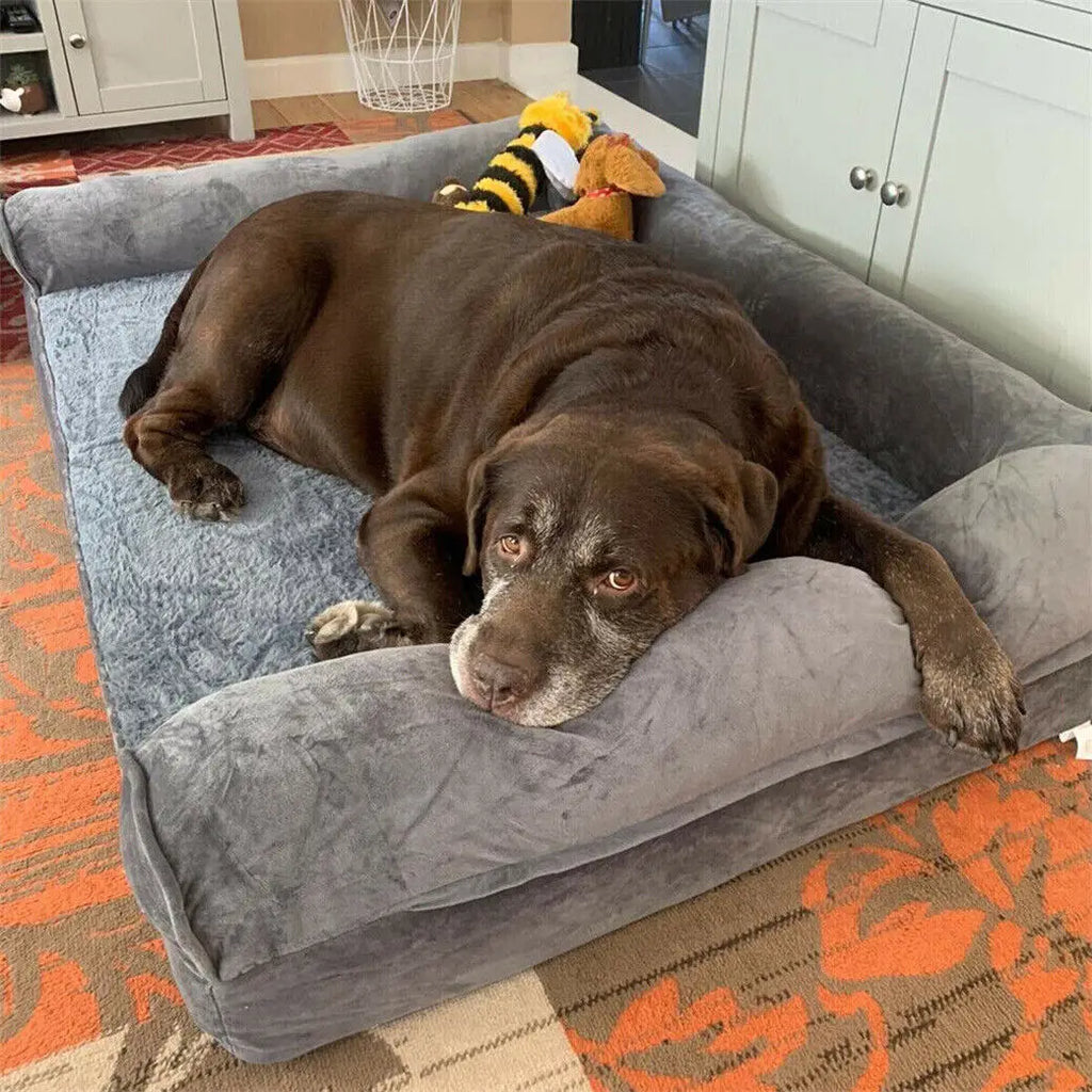 Flausi RückenRuhe™ XL orthopädisches Hundebett für große Hunde