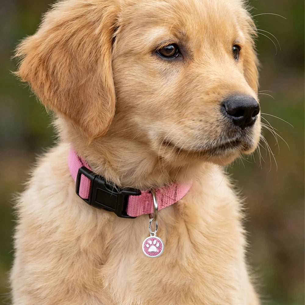 Free Personalized Dog Cat Plate Tags Engraved Puppy Pet ID Name Collar Tag Alloy Paw Glitter Pendant Pets Dogs Accessories