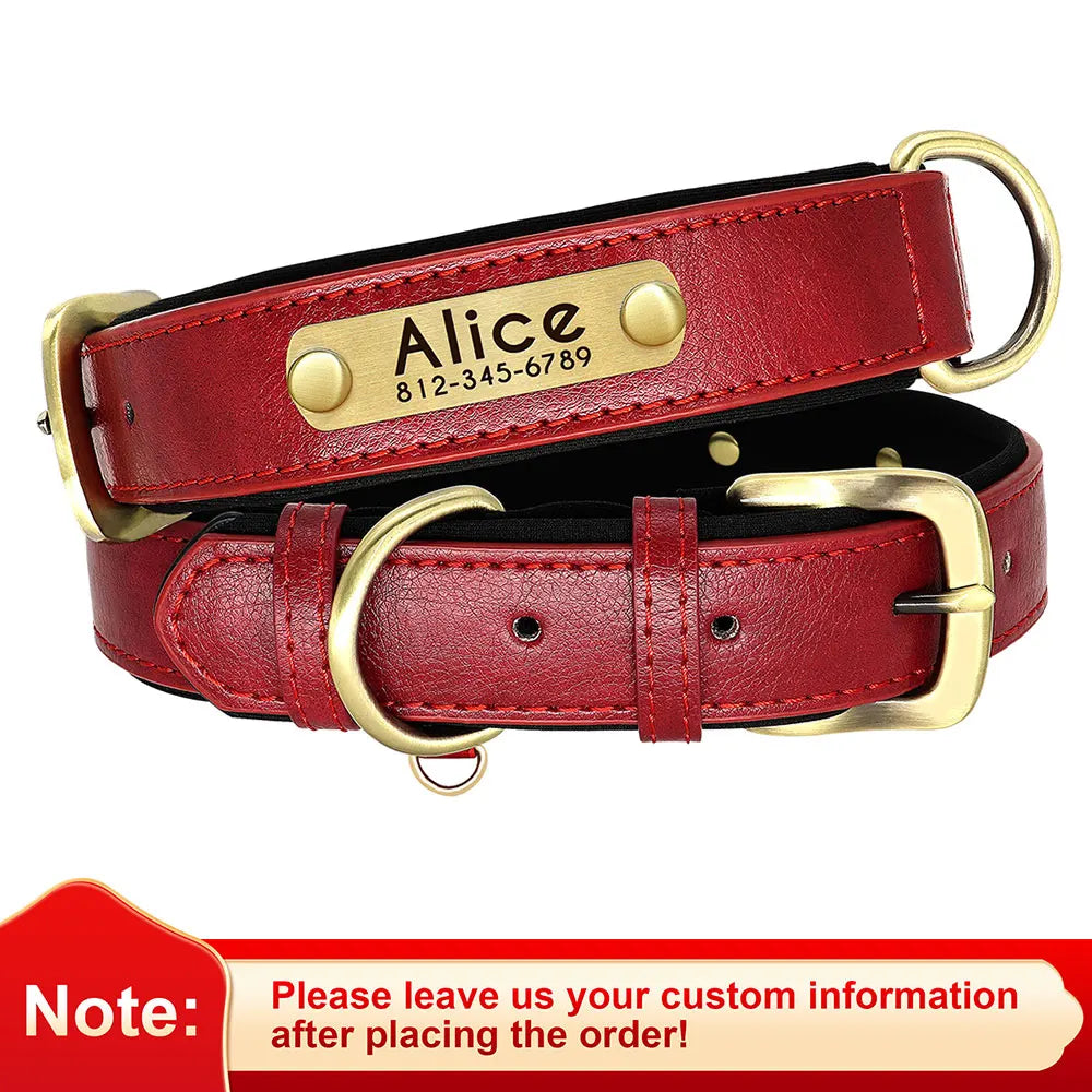 Flausi Edles personalisiertes Leder Halsband- & Leinen-Set für Hunde