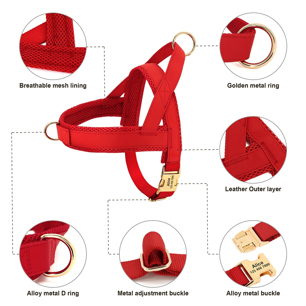 Flausi edles personalisierbares Geschirr – Leder-Mesh-Set: Halsband, Geschirr & Leine