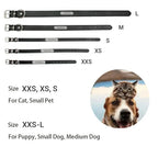 Flausi NamensPfote™ personalisiertes Hunde- & Katzenhalsband Leder