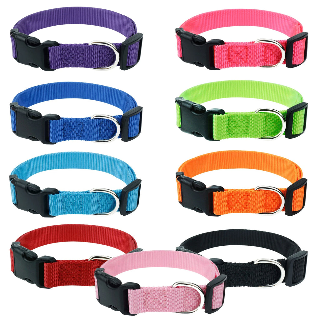 Flausi leichtes Reflektierendes personalisiertes Nylon Halsband für Hunde