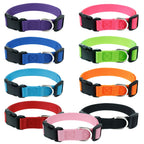 Flausi leichtes Reflektierendes personalisiertes Nylon Halsband für Hunde