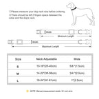 Flausi Edles personalisiertes Nylon Halsband für Hunde