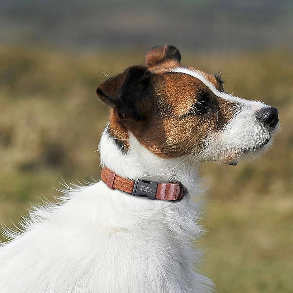 Flausi Edles personalisiertes Nylon Halsband für Hunde