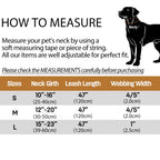 Flausi personalisiertes Premium Halsband aus Samt für Hunde