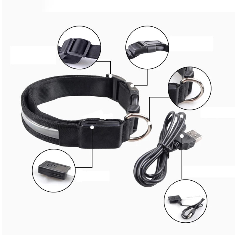 Flausi LeuchtName™ personalisierbares LED-Halsband für Hunde