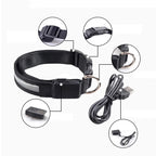 Flausi LeuchtName™ personalisierbares LED-Halsband für Hunde