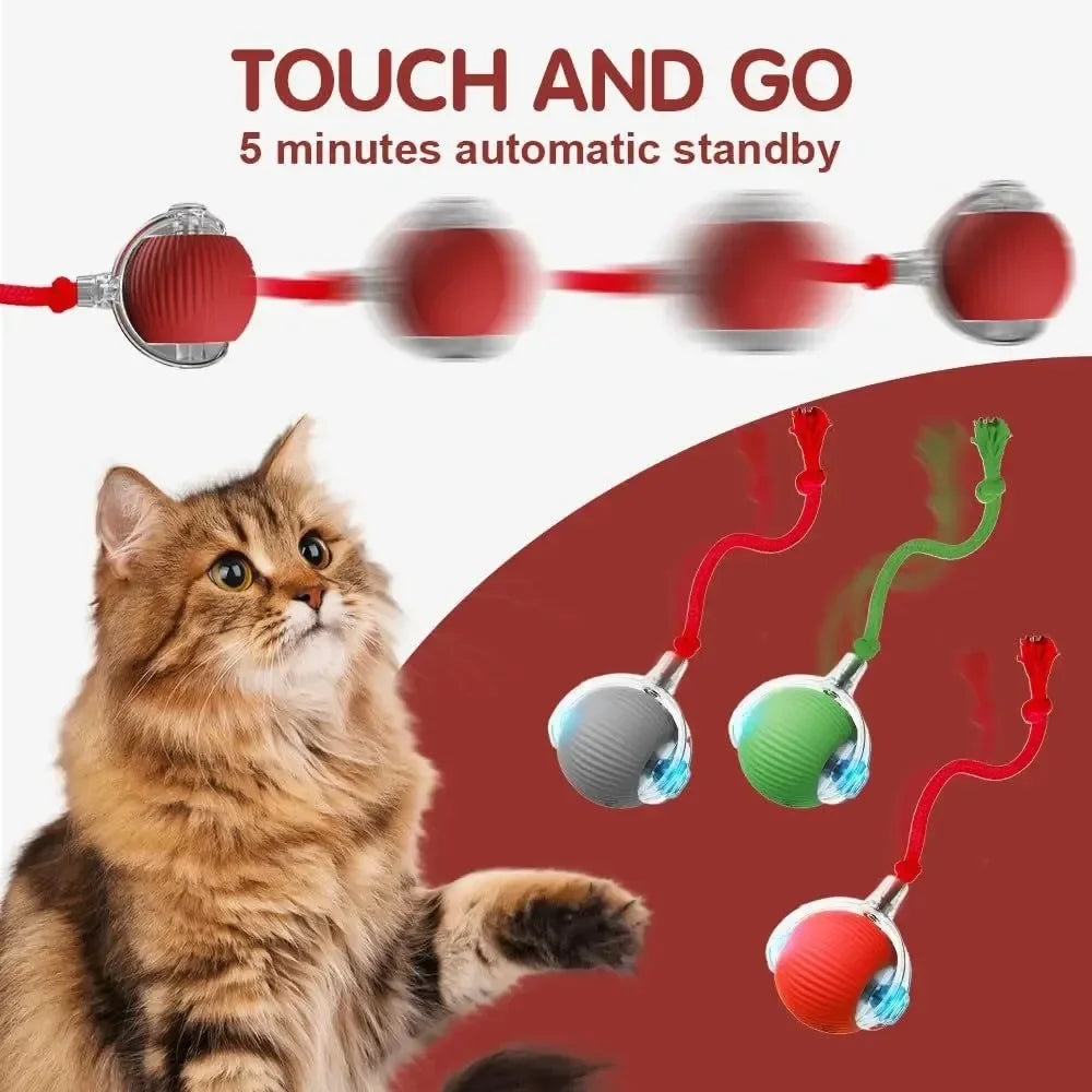 Flausi JagdBall™ interaktiver Spielball für Katzen & kleine Hunde