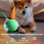 Flausi JagdBall™ interaktiver Spielball für Katzen & kleine Hunde