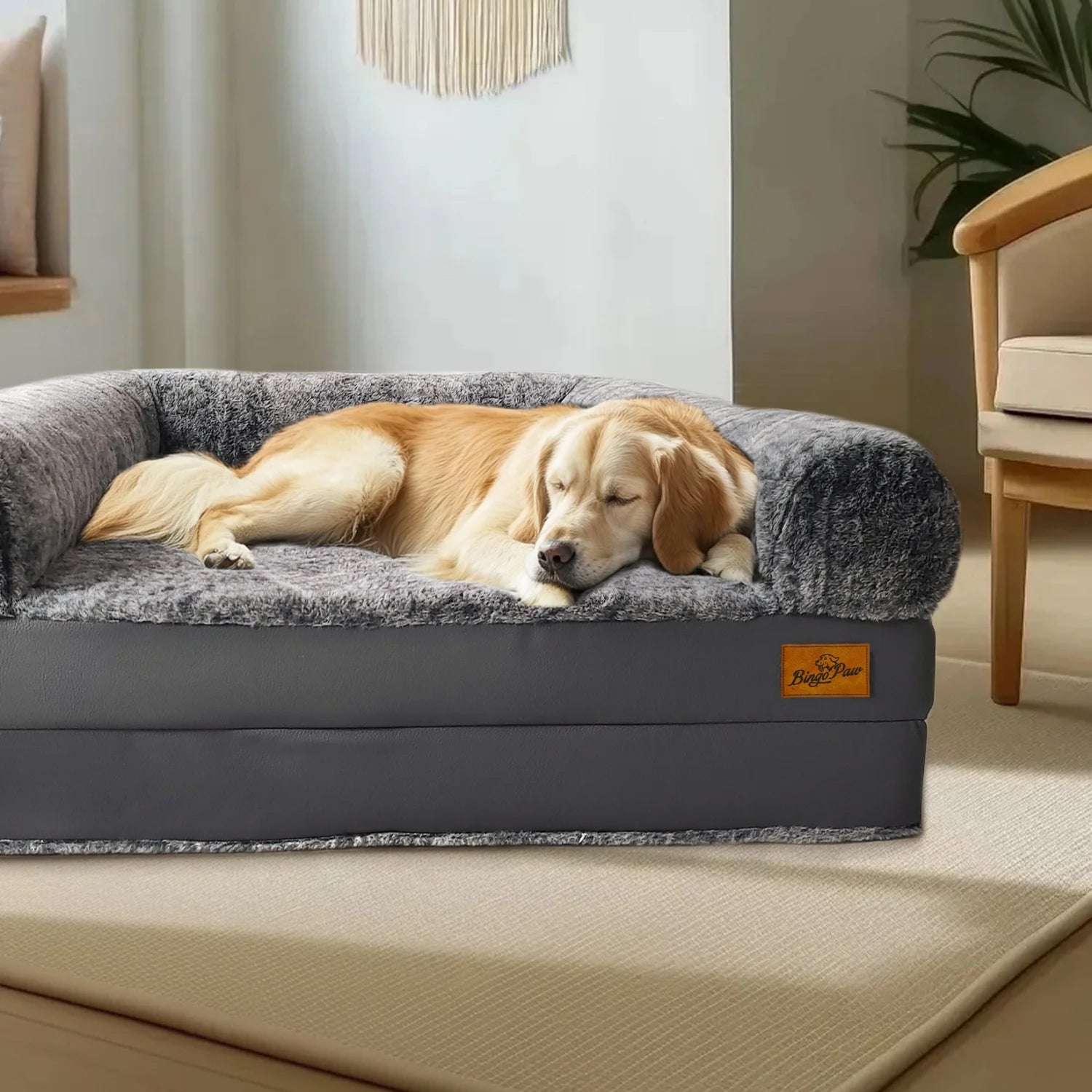 Flausi KuschelSofa™ faltbares orthopädisches XL Mensch-Hund-Sofa