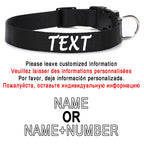 Flausi leichtes Reflektierendes personalisiertes Nylon Halsband für Hunde