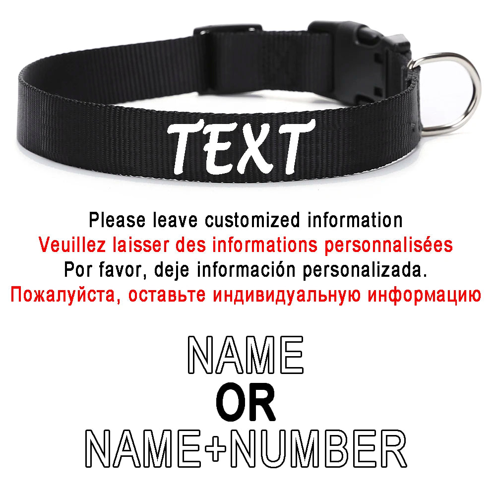 Flausi leichtes Reflektierendes personalisiertes Nylon Halsband für Hunde