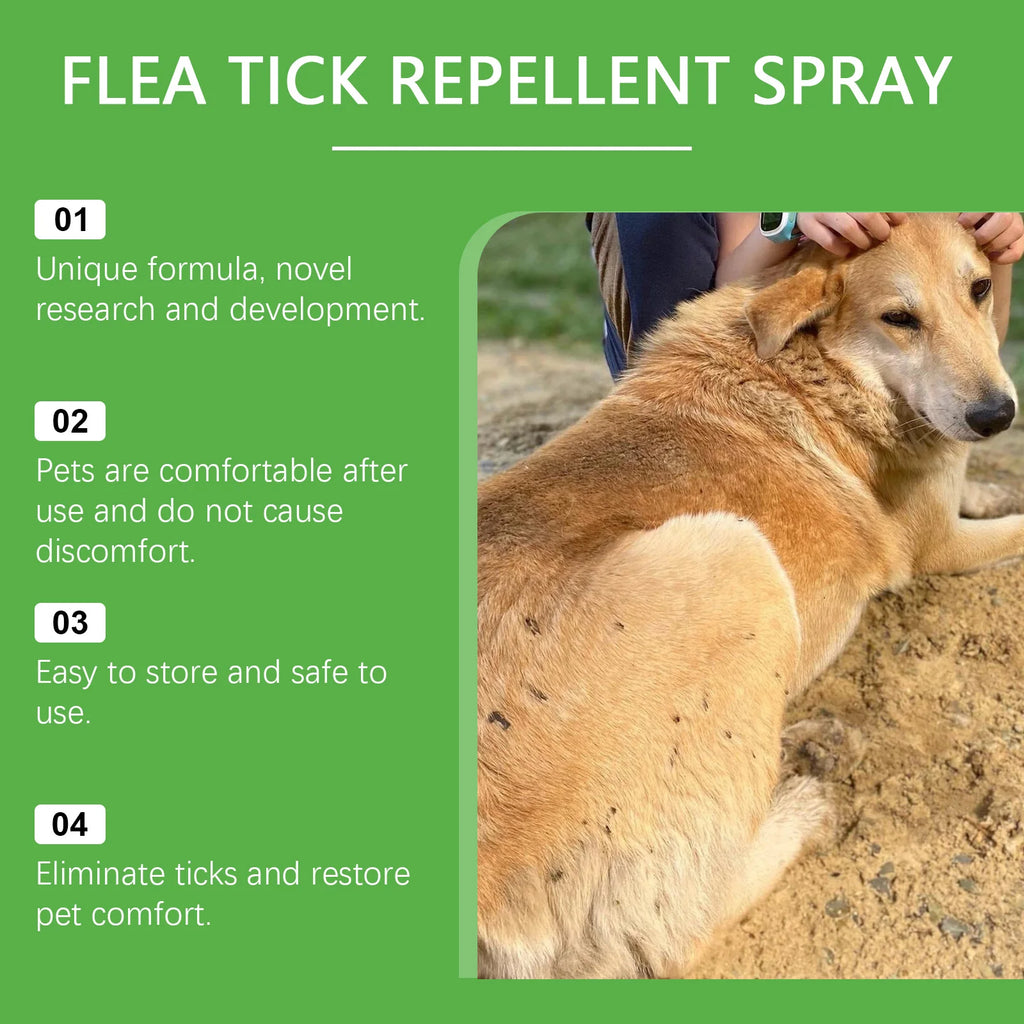 Flausi ZeckenSchild™ naturbasiertes Floh- & Zeckenspray für Hunde & Katzen 50 Ml.