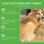 Flausi ZeckenSchild™ naturbasiertes Floh- & Zeckenspray für Hunde & Katzen 50 Ml.