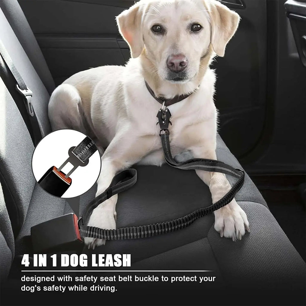 Flausi qualitative Hunde- & Katzenleinen – Ruckdämpfer mit Auto-Sicherheitsgurt