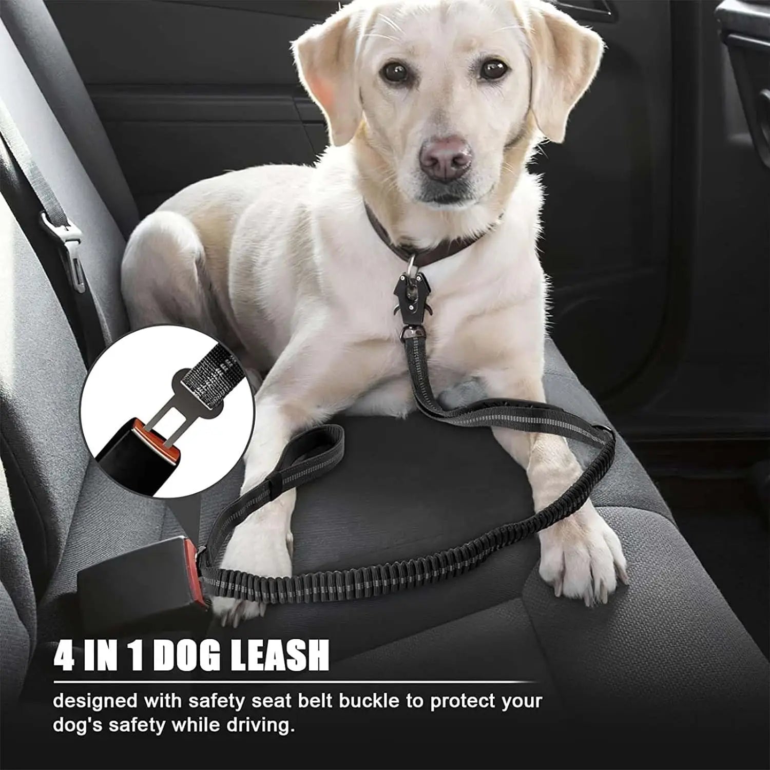 Flausi qualitative Hunde- & Katzenleinen – Ruckdämpfer mit Auto-Sicherheitsgurt