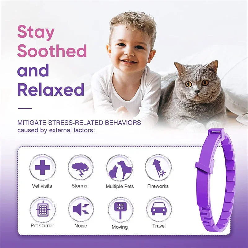 Flausi RuheBand™ Anti-Stress Halsband für Hunde & Katzen
