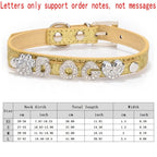 Flausi personalisiertes Halsband  3D-Optik Glitzernd für Hunde und Katzen