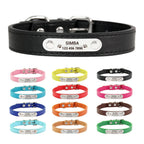 Flausi NamensPfote™ personalisiertes Hunde- & Katzenhalsband Leder
