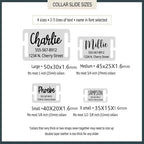Personalized Stainless Steel Pet Cat Dog ID Tag Collar Accessories Custom Engraved Necklace Supplies For Dog Tag Name Products