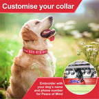 Embroidered Nylon Dog Collar Personalized Puppy Cat Collars Reflective Pet ID Collars DIY Phone Name ID For Small Large Dog Cat