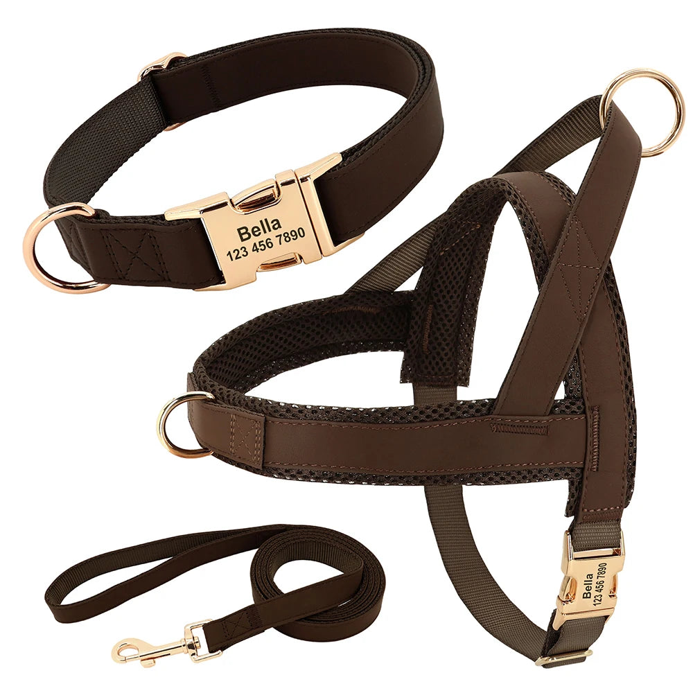 Flausi edles personalisierbares Geschirr – Leder-Mesh-Set: Halsband, Geschirr & Leine