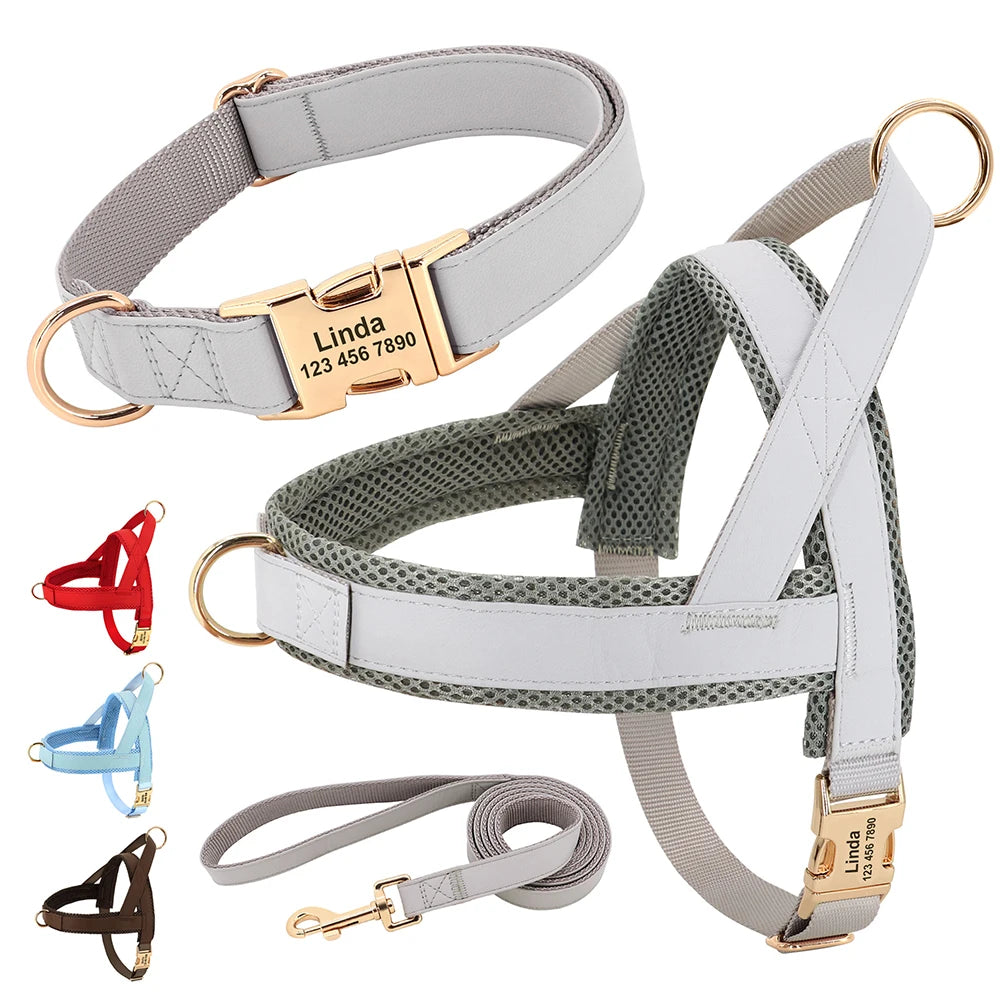 Flausi edles personalisierbares Geschirr – Leder-Mesh-Set: Halsband, Geschirr & Leine