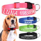 Flausi leichtes Reflektierendes personalisiertes Nylon Halsband für Hunde