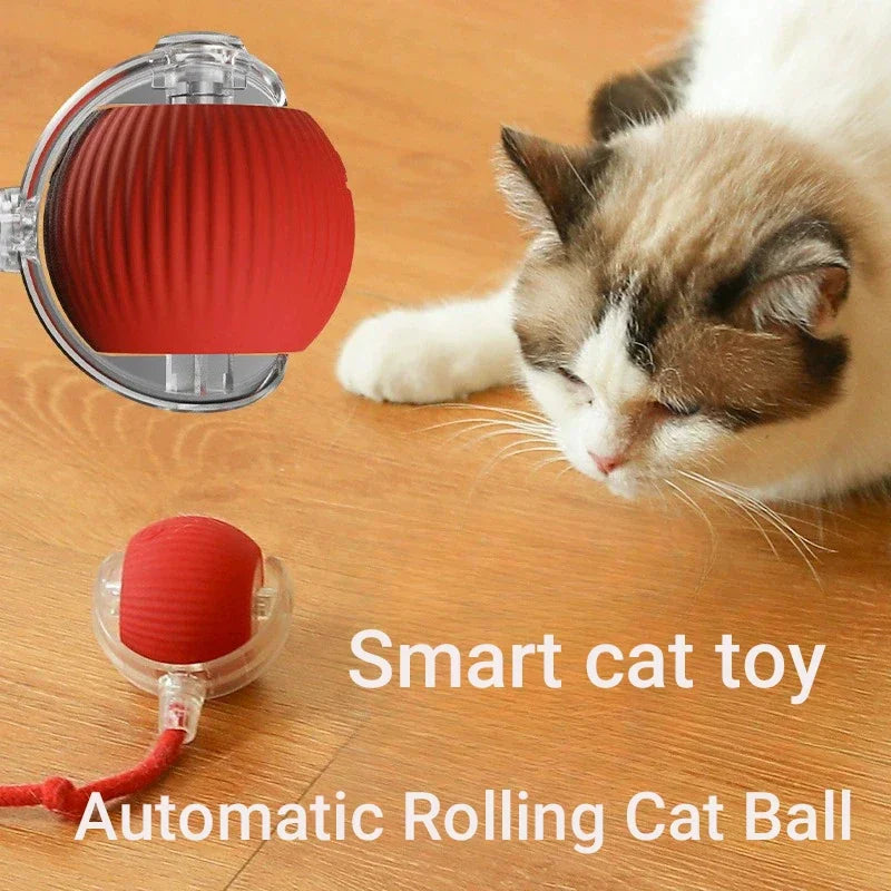 Flausi JagdBall™ interaktiver Spielball für Katzen & kleine Hunde