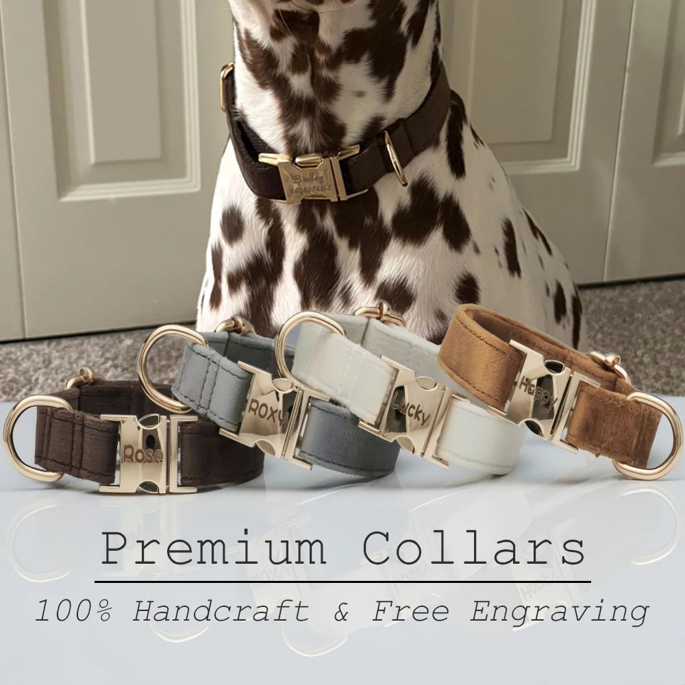 Flausi personalisiertes Premium Halsband aus Samt für Hunde