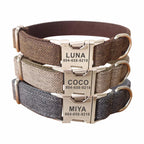 Flausi NameLux™ personalisiertes Premium Hunde- & Katzenhalsband mit hochwertiger Gravur