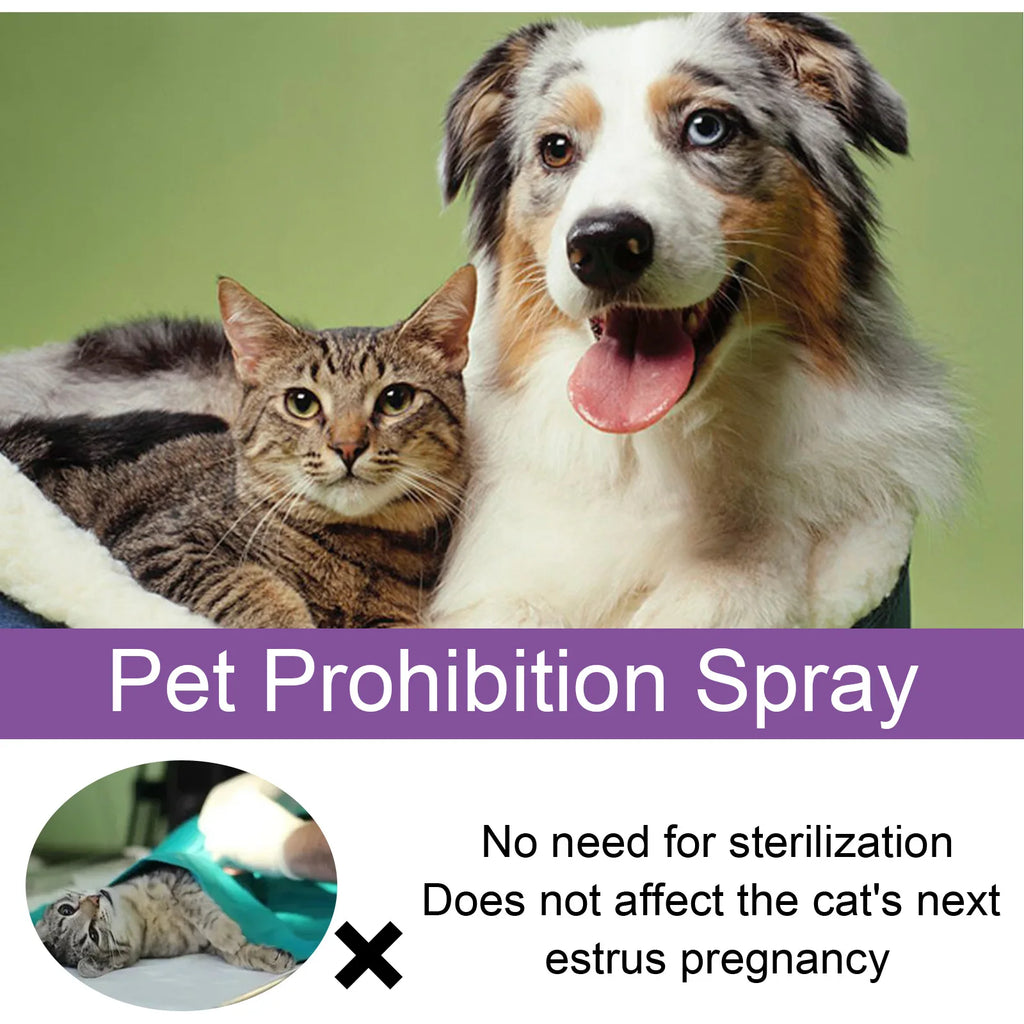 Flausi RuheSpray™ Anti-Stress Beruhigungsspray für Hunde & Katzen 50 Ml.