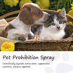 Flausi RuheSpray™ Anti-Stress Beruhigungsspray für Hunde & Katzen 50 Ml.