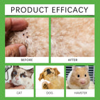 Flausi ZeckenSchild™ naturbasiertes Floh- & Zeckenspray für Hunde & Katzen 50 Ml.