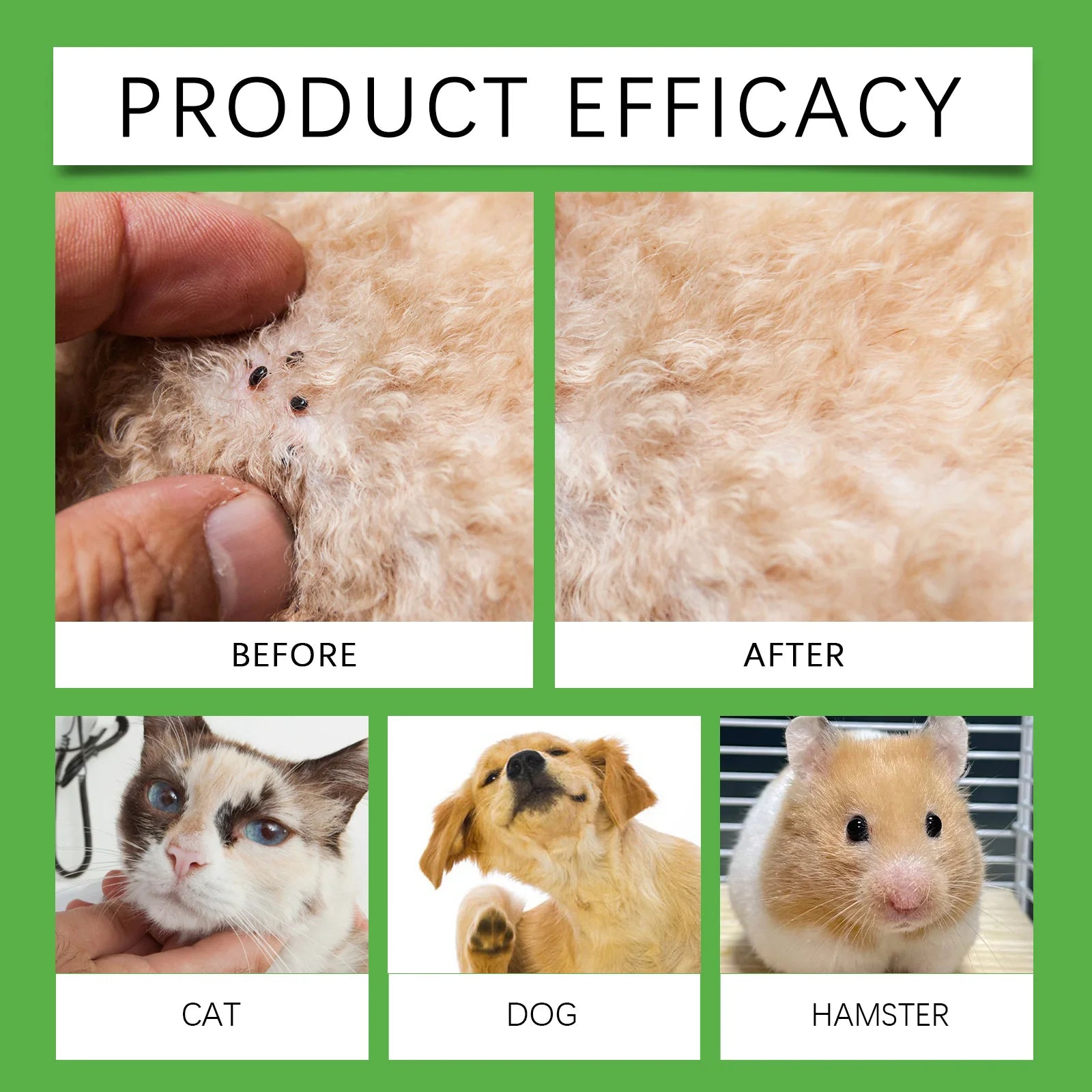 Flausi ZeckenSchild™ naturbasiertes Floh- & Zeckenspray für Hunde & Katzen 50 Ml.
