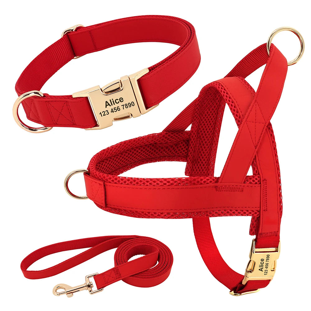 Flausi edles personalisierbares Geschirr – Leder-Mesh-Set: Halsband, Geschirr & Leine