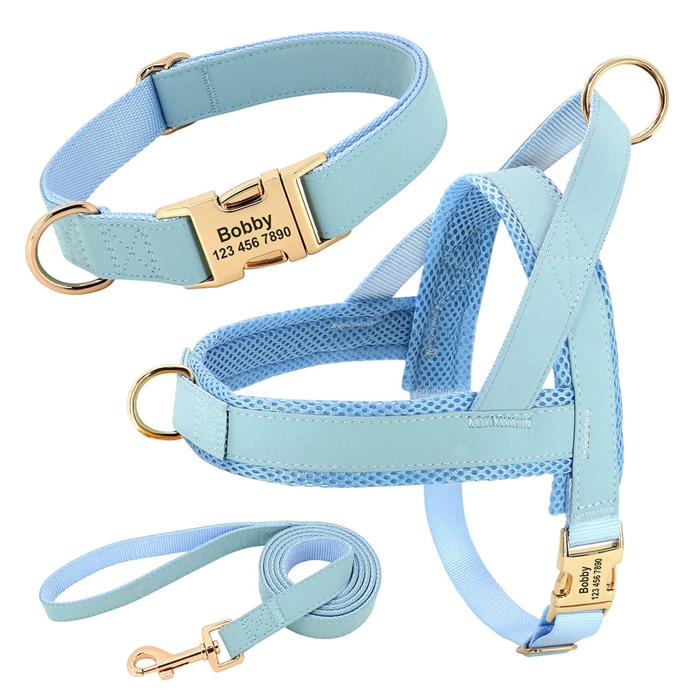 Flausi edles personalisierbares Geschirr – Leder-Mesh-Set: Halsband, Geschirr & Leine