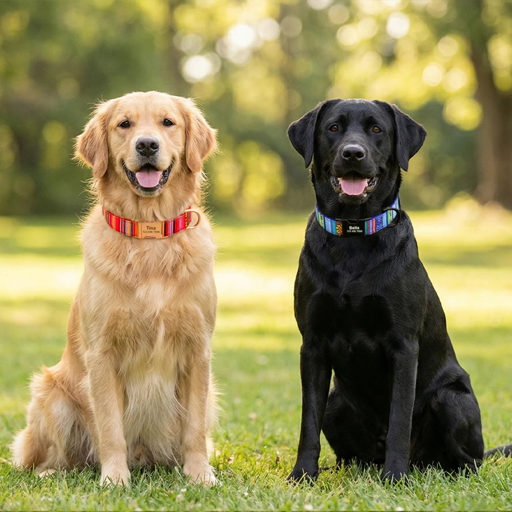 Flausi personalisiertes Nylon Halsband für Hunde mehrfarbig