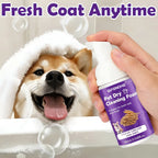 Flausi SchnellFrisch™ Anti-Stress Trockenshampoo-Schaum für Hunde & Katzen 65 Ml.