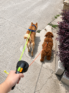Flausi DuoWalk Reflektierende Doppel-Rollleine mit LED-Licht