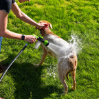 Flausi DuschWuff 3-in-1 sanfte Hunde-Dusche mit Schaumsprüher