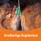 Flausi FellPro 3-in-1 sanfte Entfilzungsbürste und Unterwollkamm für Hunde und Katzen