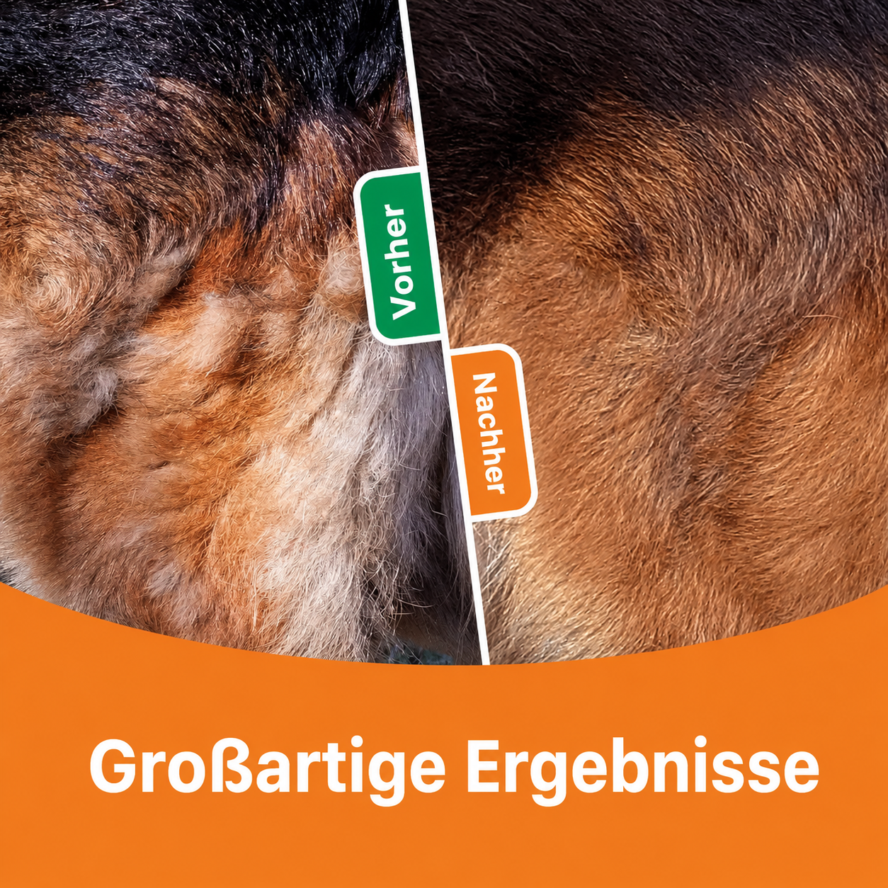Flausi FellPro 3-in-1 sanfte Entfilzungsbürste und Unterwollkamm für Hunde und Katzen