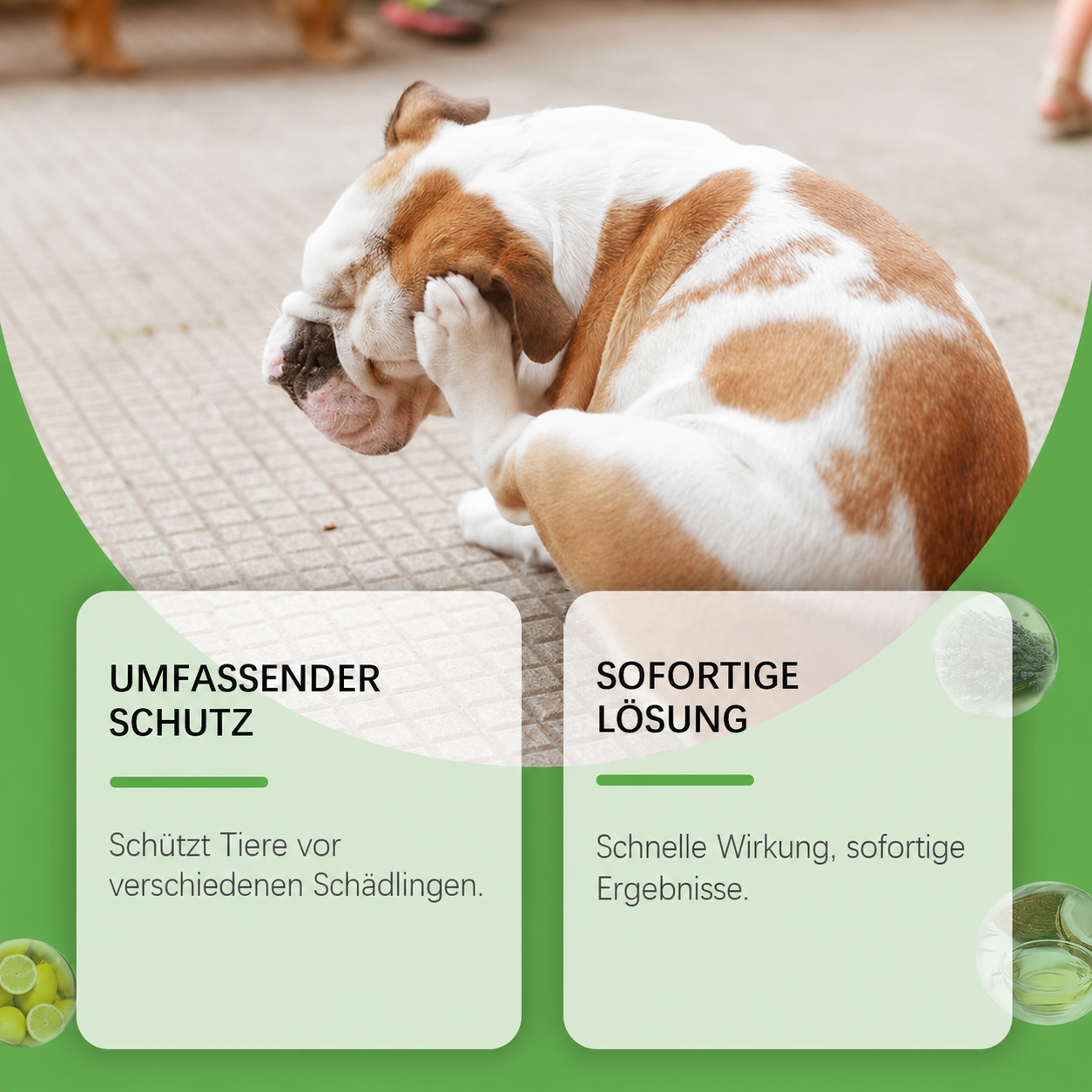 Flausi FlohWeg naturbasiertes Floh- und Zeckenspray pflanzlich 50 Ml.