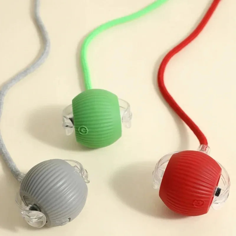 Flausi JagdBall selbstrollender Spielball für Katzen und kleine Hunde